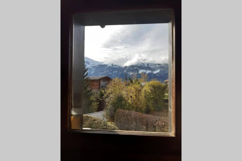 Apartament Eden Roc Grand Massif Les Carroz d'Araches Zewnętrze zdjęcie
